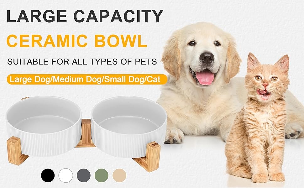 Ceramic Dog Bowl