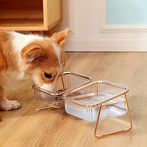 Dog bowl